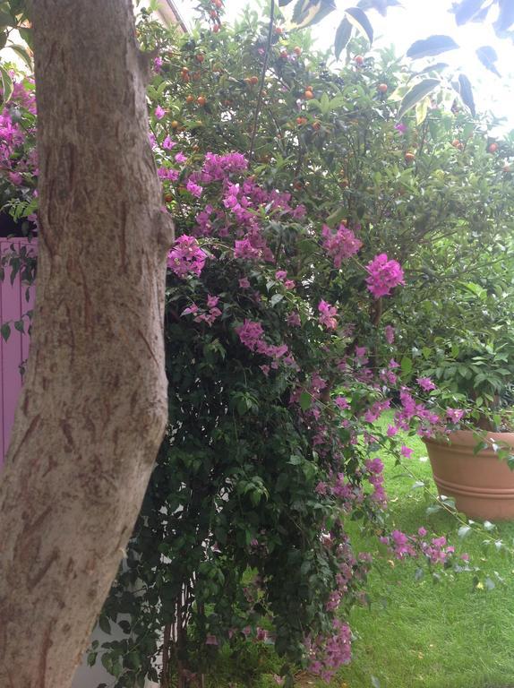 Bed and Breakfast A Casa Di Lolu Grottammare Zewnętrze zdjęcie