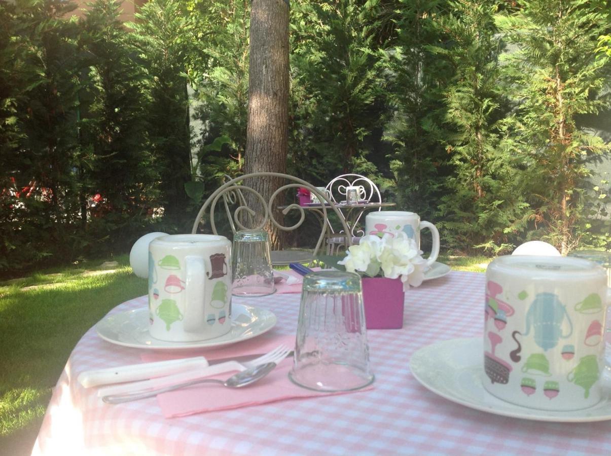 Bed and Breakfast A Casa Di Lolu Grottammare Zewnętrze zdjęcie